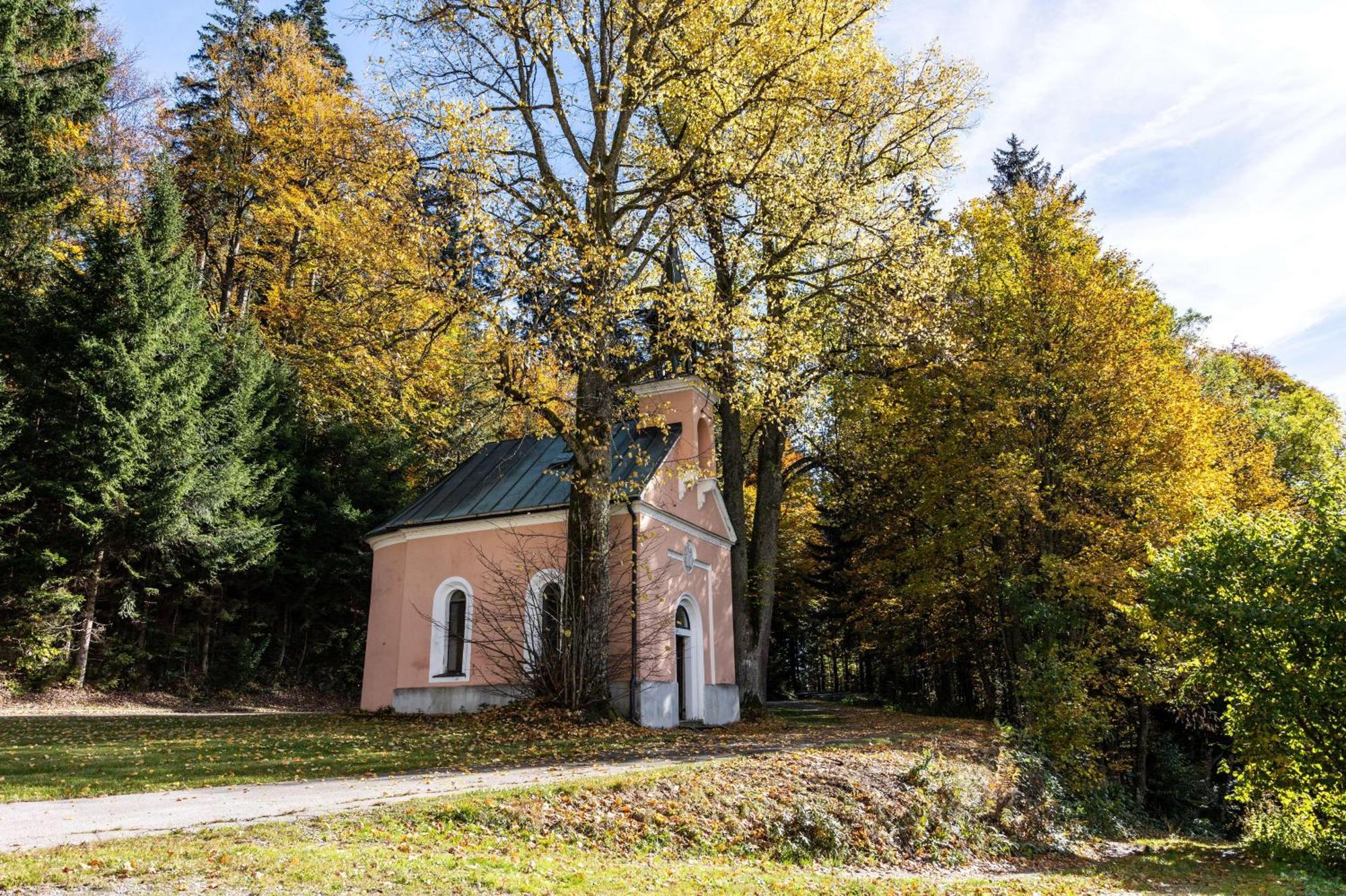 Forsthaus Apartments - Ski + Bike & Hike Klaffer am Hochficht Buitenkant foto