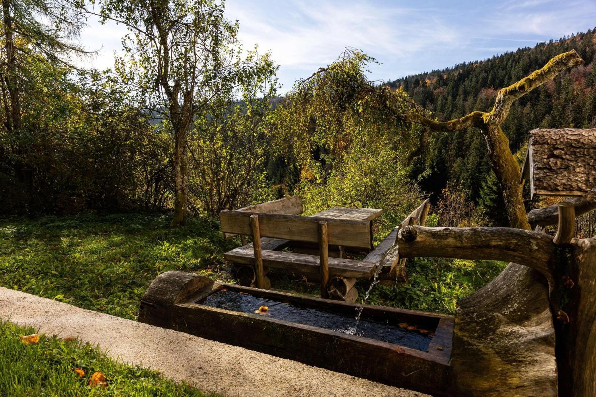 Forsthaus Apartments - Ski + Bike & Hike Klaffer am Hochficht Buitenkant foto