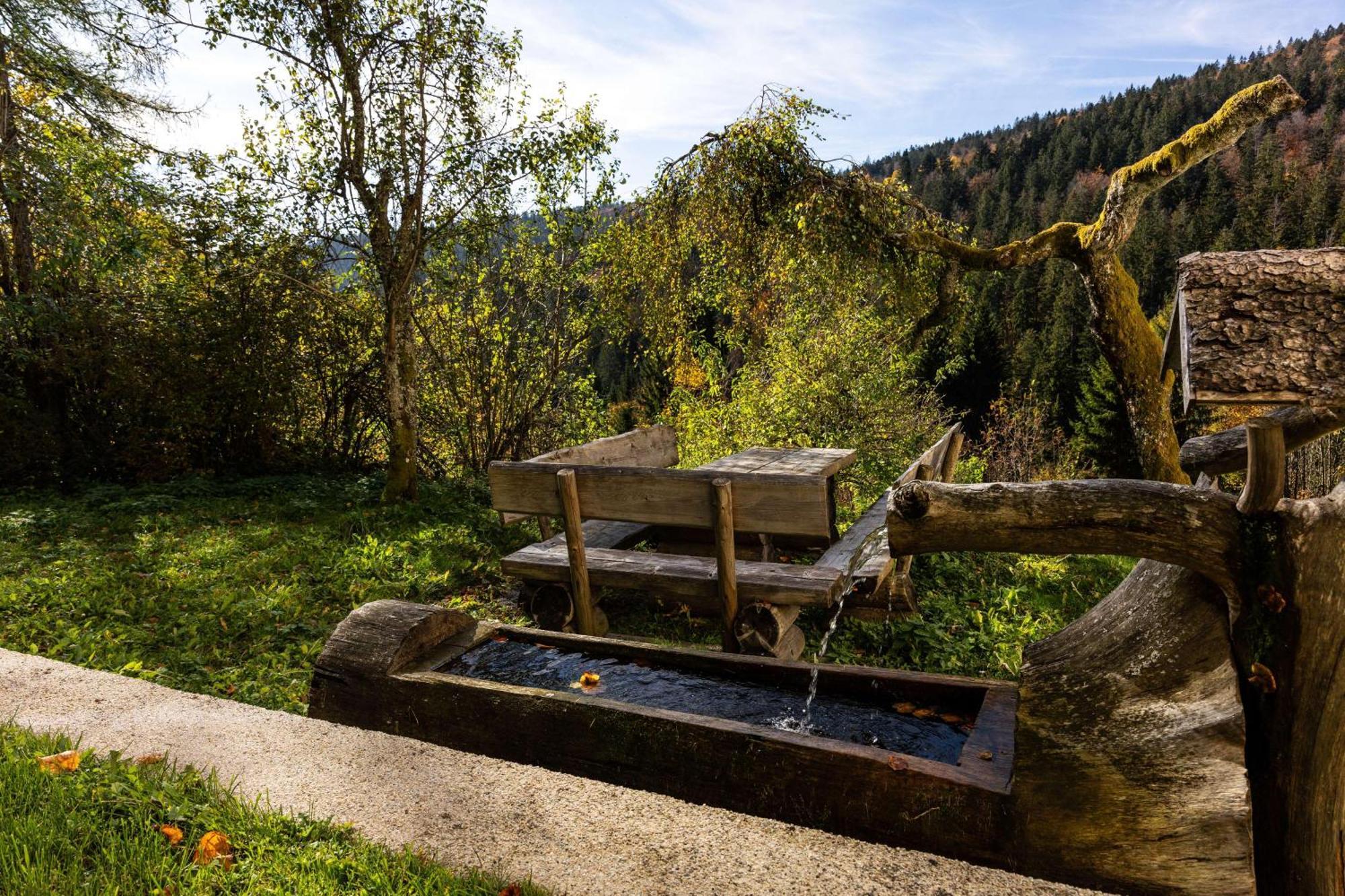 Forsthaus Apartments - Ski + Bike & Hike Klaffer am Hochficht Buitenkant foto